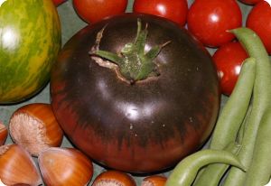 Tomato 'Black from Tula'