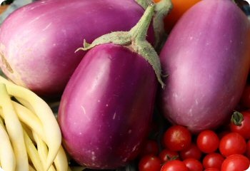 Eggplant 'Rosita'
