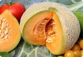 Melon 'Golden Jenny'