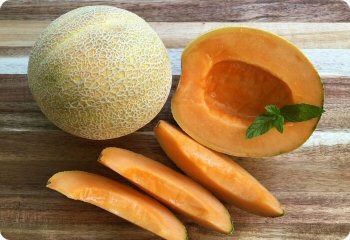 Melon 'Minnesota Midget'