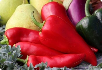 Pepper 'Chervena Chushka'