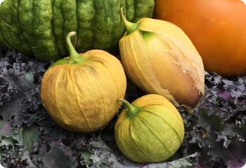 Tomatillo 'Acorazonado'