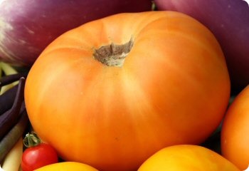 Tomato 'Azoychka Peach'
