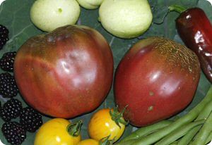 Brad's Black Heart Tomato