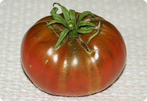 Cherokee Chocolate Tomato