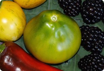 Tomato 'Cherokee Green Pear'