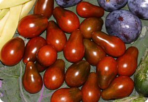 Chocolate Pear Tomato