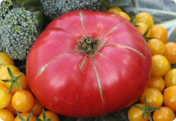 Tomato 'Earl's Faux'