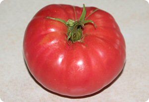 Gregori's Altai Tomato