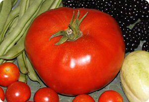 Tomato 'Neves Azorean Red'