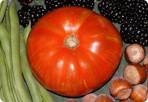 Tomato 'Solar Flare'