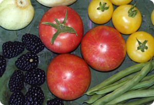 Tomato 'Sweet Carneros Pink'