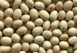 Bean Sulfur