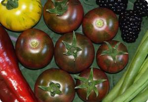 Tomato 'Violet Jasper'