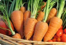 carrot seeds