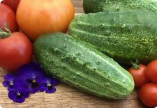 cucumber seeds