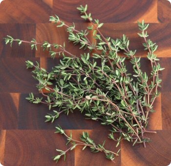 Thyme 'German Winter'